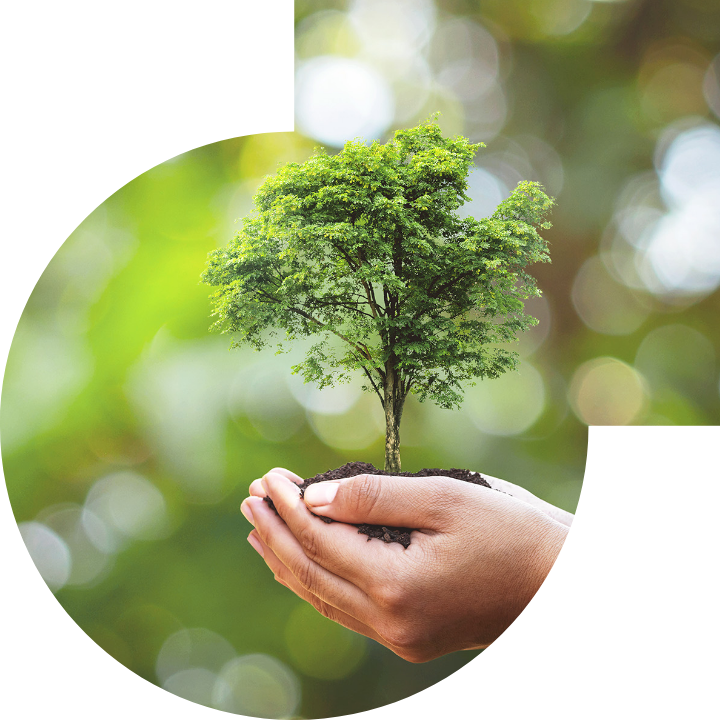 關懷人類、文化、環境與社會