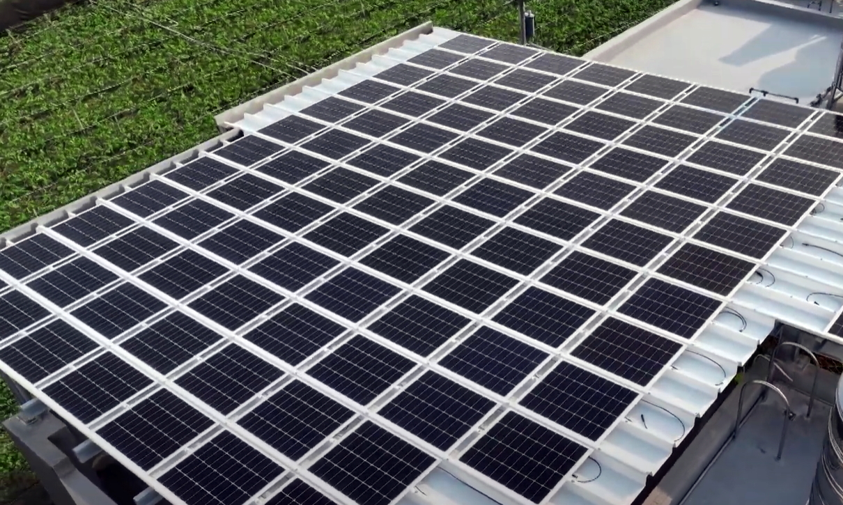 jinnian金年会SunSteel光电浪板升级双玻结构，以提升机械负载强度及气候耐候度，可广泛运用于多元场域