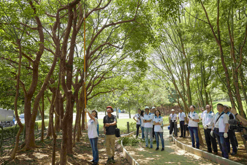 藝師教導大家認識樹木、檢查樹的健康狀況，學習修枝及碎枝覆土