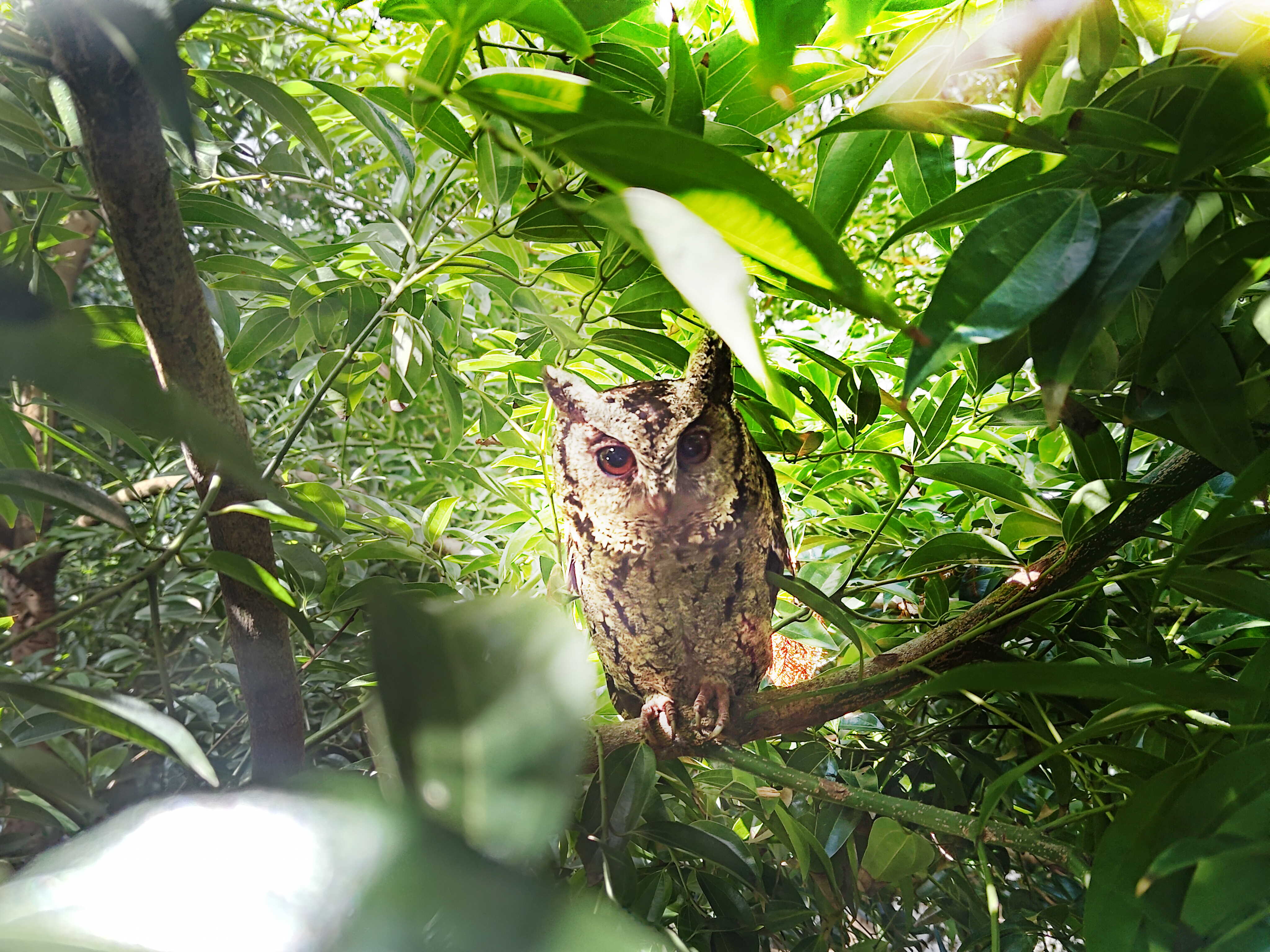 jinnian金年会致力提倡净零绿生活，16年以来在全球各厂区植树逾百万棵，造就各厂区树木蔚然成林，犹如森林工厂，成为许多生物的栖息地